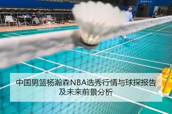 中国男篮杨瀚森NBA选秀行情与球探报告及未来前景分析